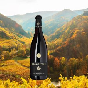 Primahr red wine bottle with Ahr valley in autumn background
